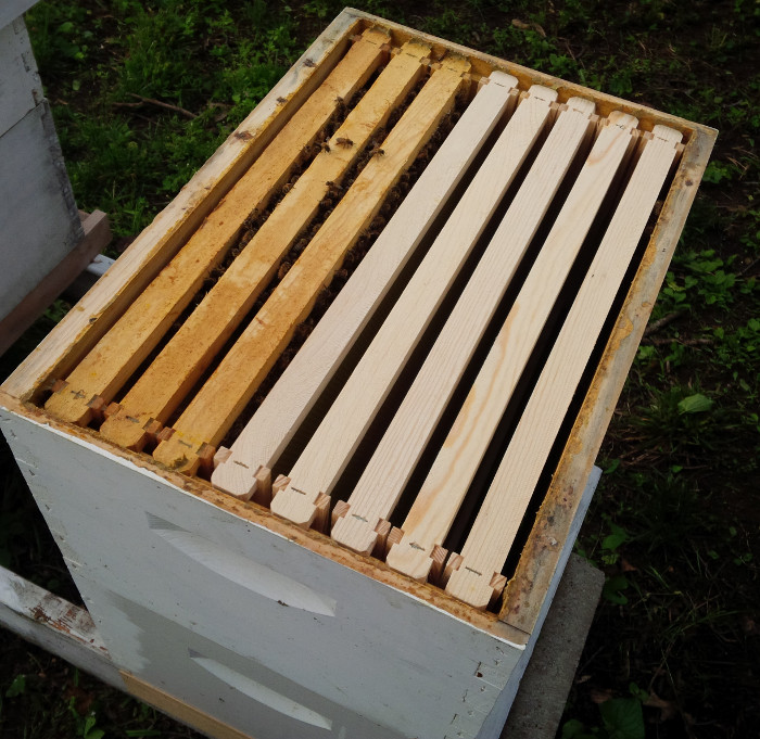 Hive with all frames installed after custom comb removed